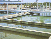 桁架式刮（吸）泥机